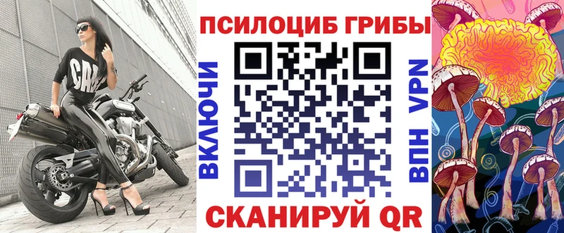 Псилоцибиновые грибы GOLDEN TEACHER  закладки  Котельнич 