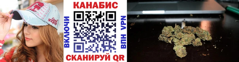 omg онион  Котельнич  Каннабис план  купить наркоту 